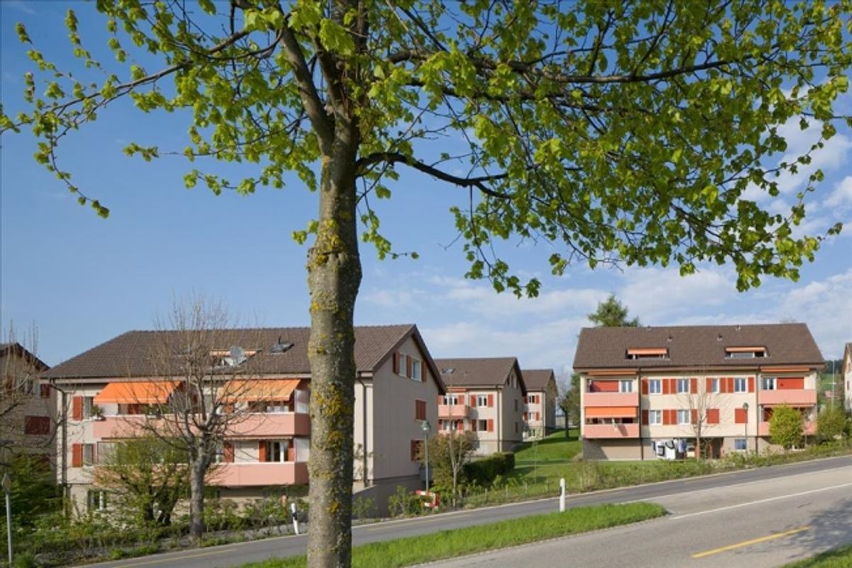 Herzlich willkommen im schönen und ruhigen Talackerweg - 1