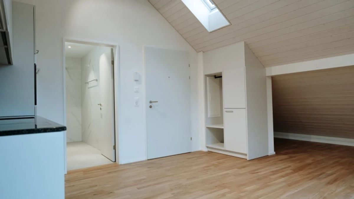 Helles 1.5-Zimmer-Dachstudio in Dübendorf mieten - 1