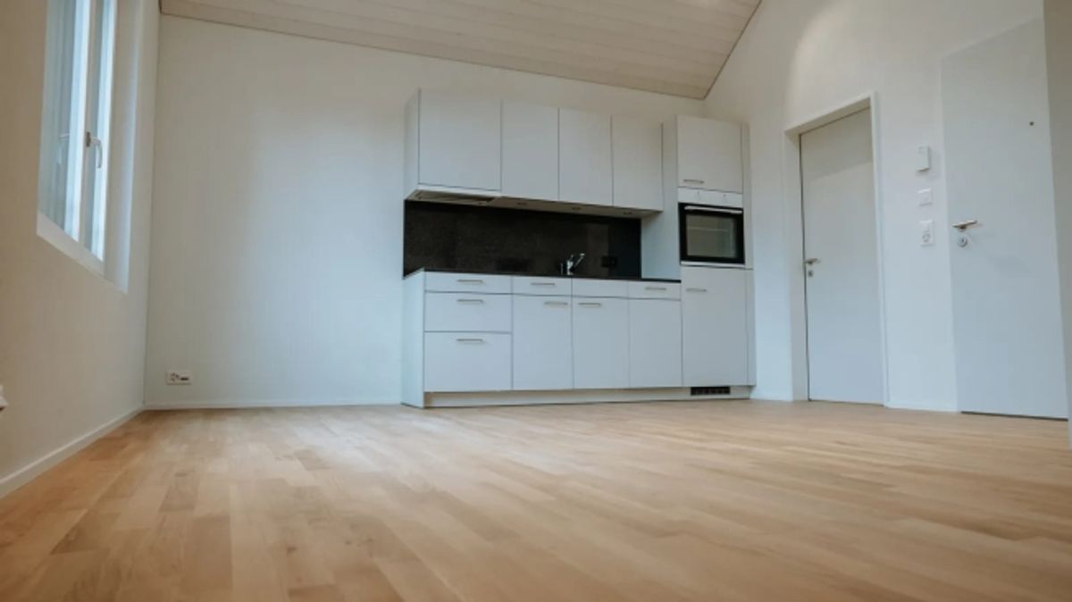 Helles 1.5-Zimmer-Dachstudio in Dübendorf mieten - 2