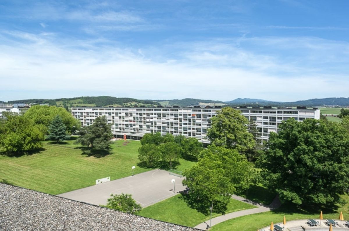 Tolle Singlewohnung - 1