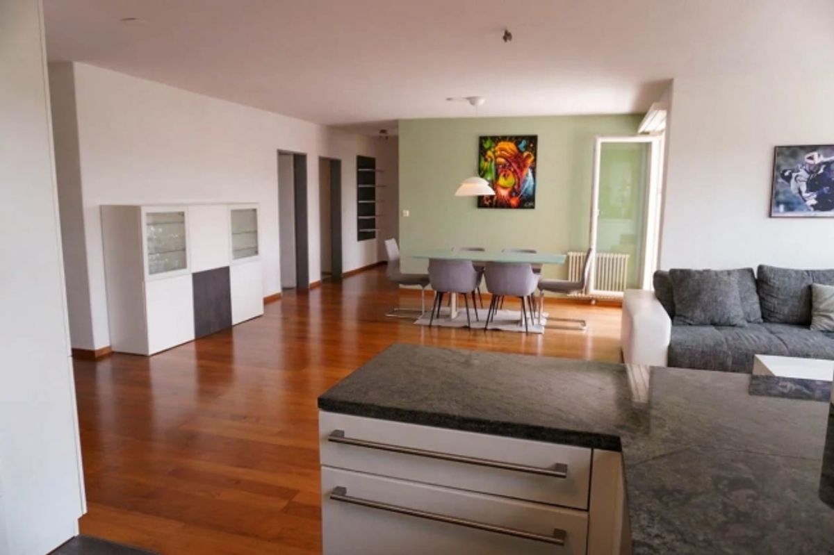 5½-Zimmer-Wohnung mit 78 m² Terrasse am Uetliberg - 3