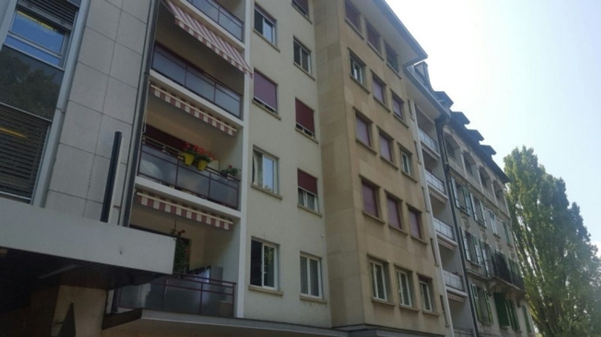 À saisir ! Splendide studio au coeur de Genève ! - 0