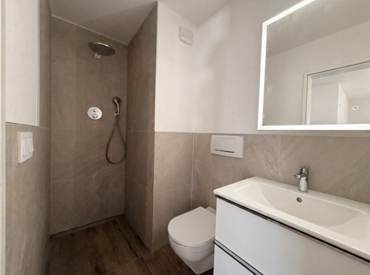 Brittnau 4.5-Zimmer-Wohnung, Erstvermietung nach Renovation 2026 - 3