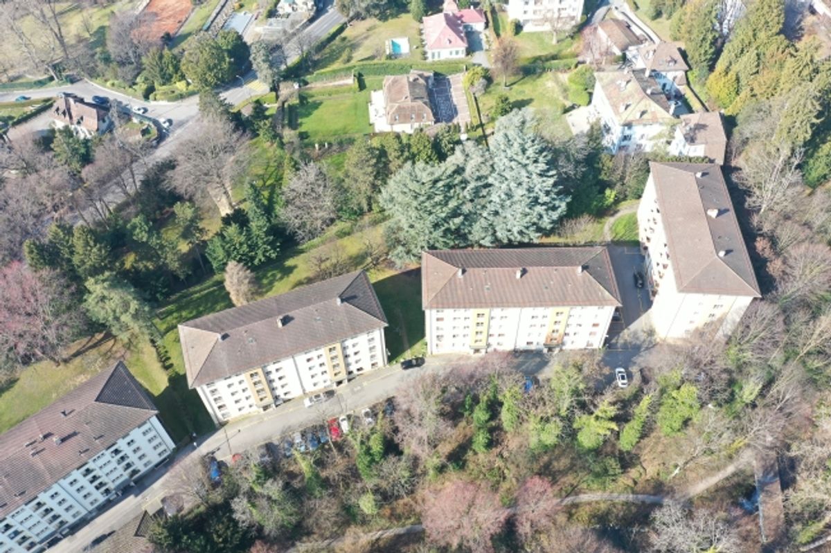 En bordure de rivière et de forêt - CDD au 30.09.2027 - 1
