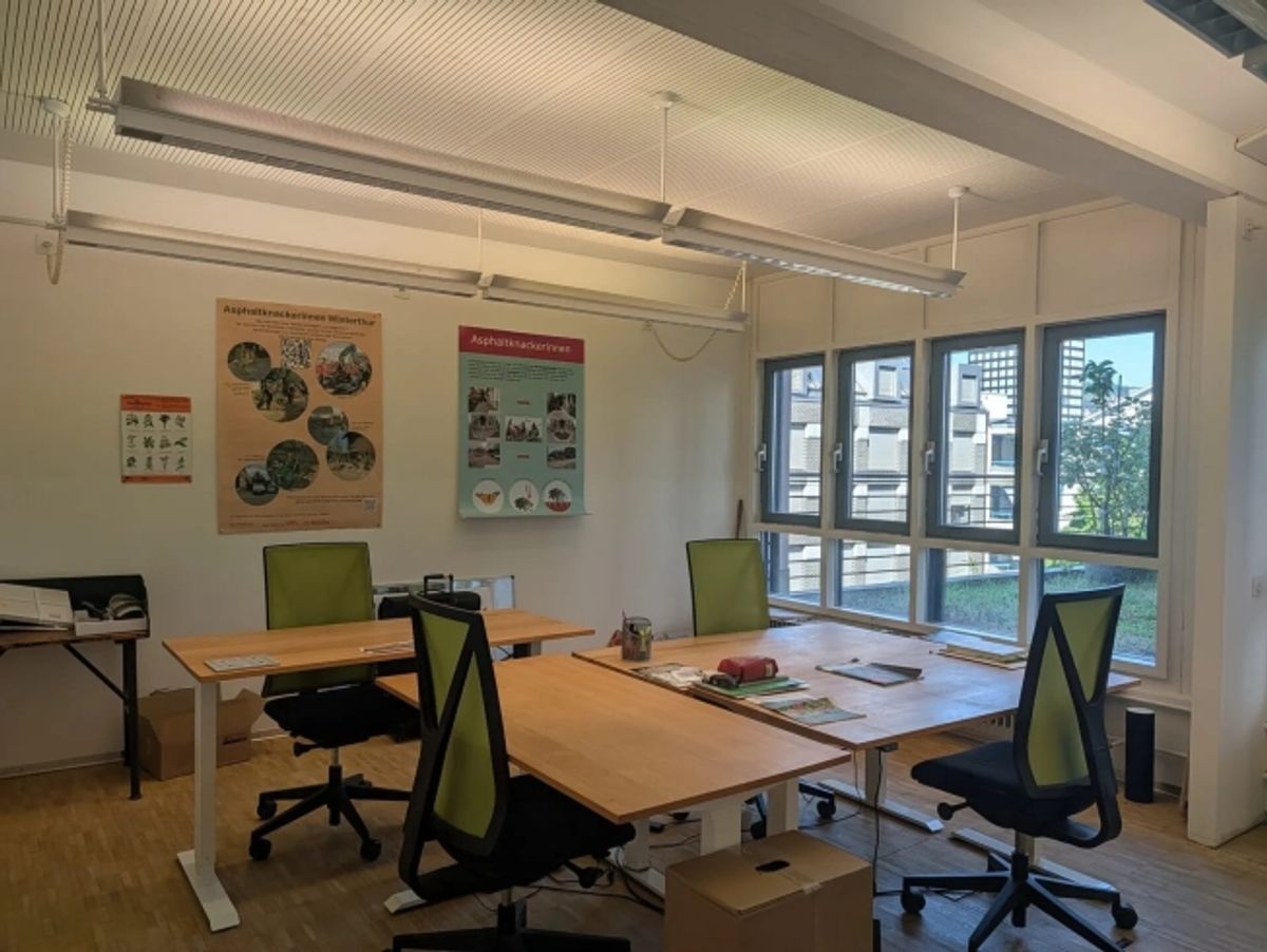 Helle Bürofläche mit 165 m² in Zürich-Kreis 5 zu mieten - 1