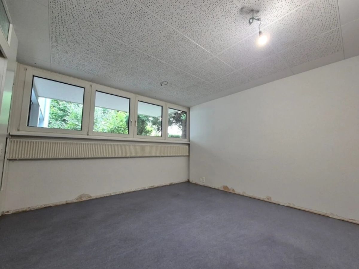 Büro mit verglaster Veranda im Grünen - 180 m² in Aarau mieten - 3