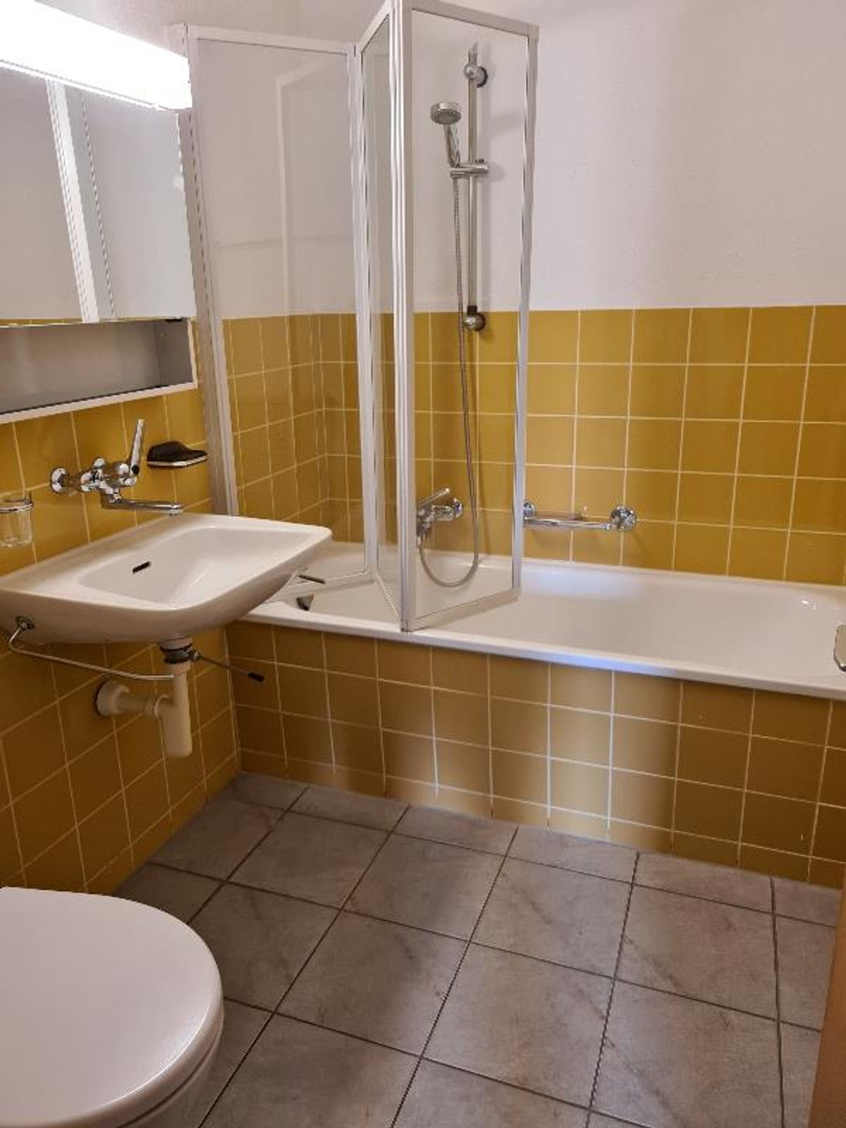 3.5 Zimmer Wohnung - 5