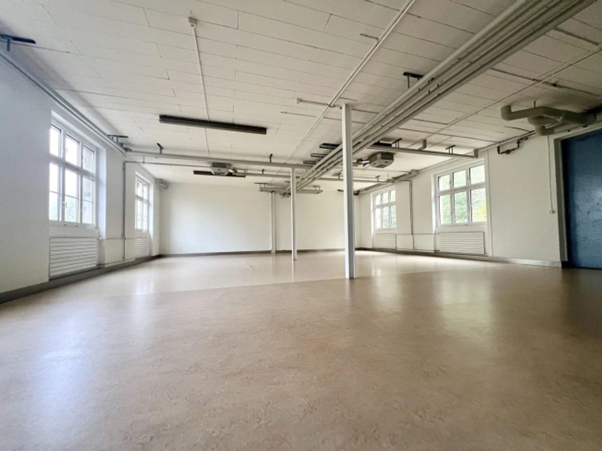 2.5-Zimmer-Loft mit 180 m² und offener Küche in Oberdorf mieten - 6