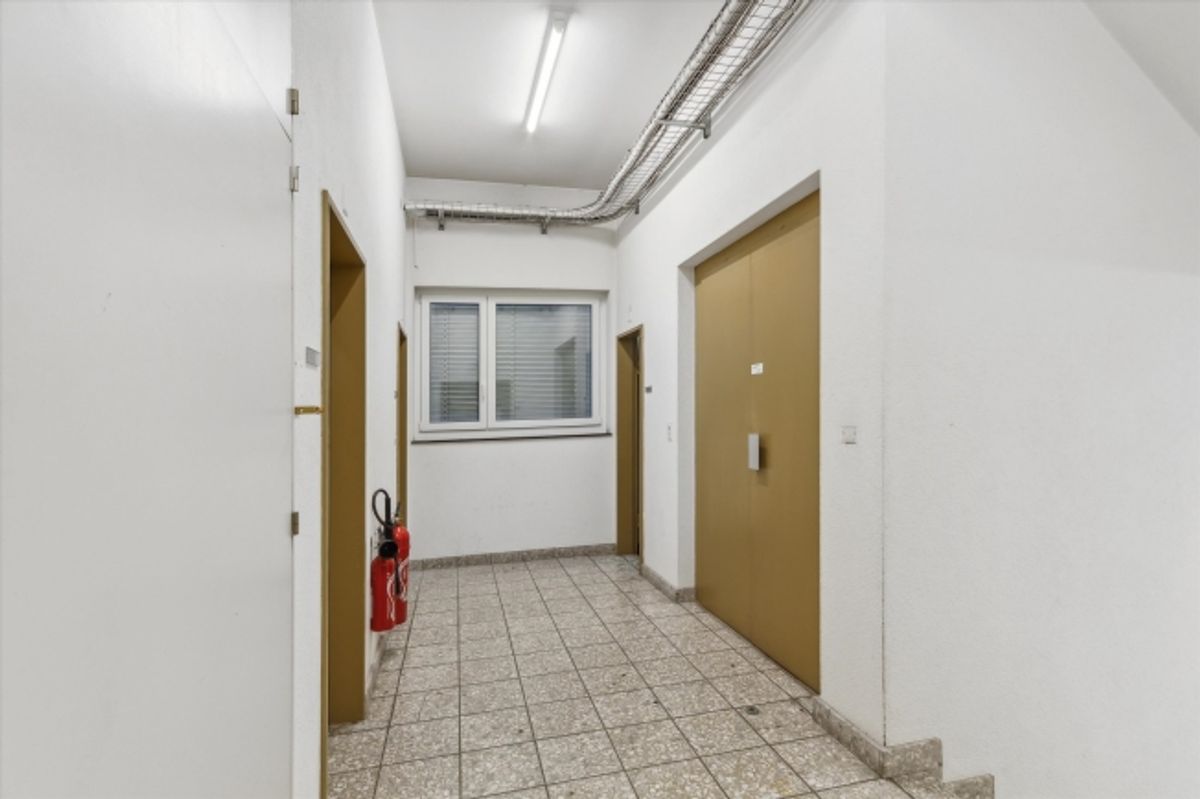 Ihr neuer Gewerbestandort in Fällanden – 297 m² mit vielseitigen Nutzungsmögl - 7