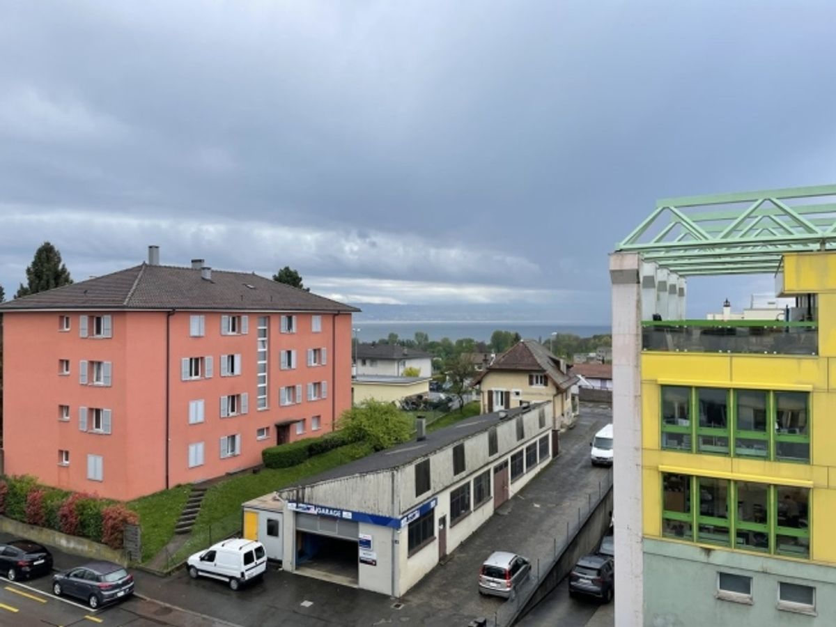 A saisir ! Spacieux logement au coeur de Renens ! - 11