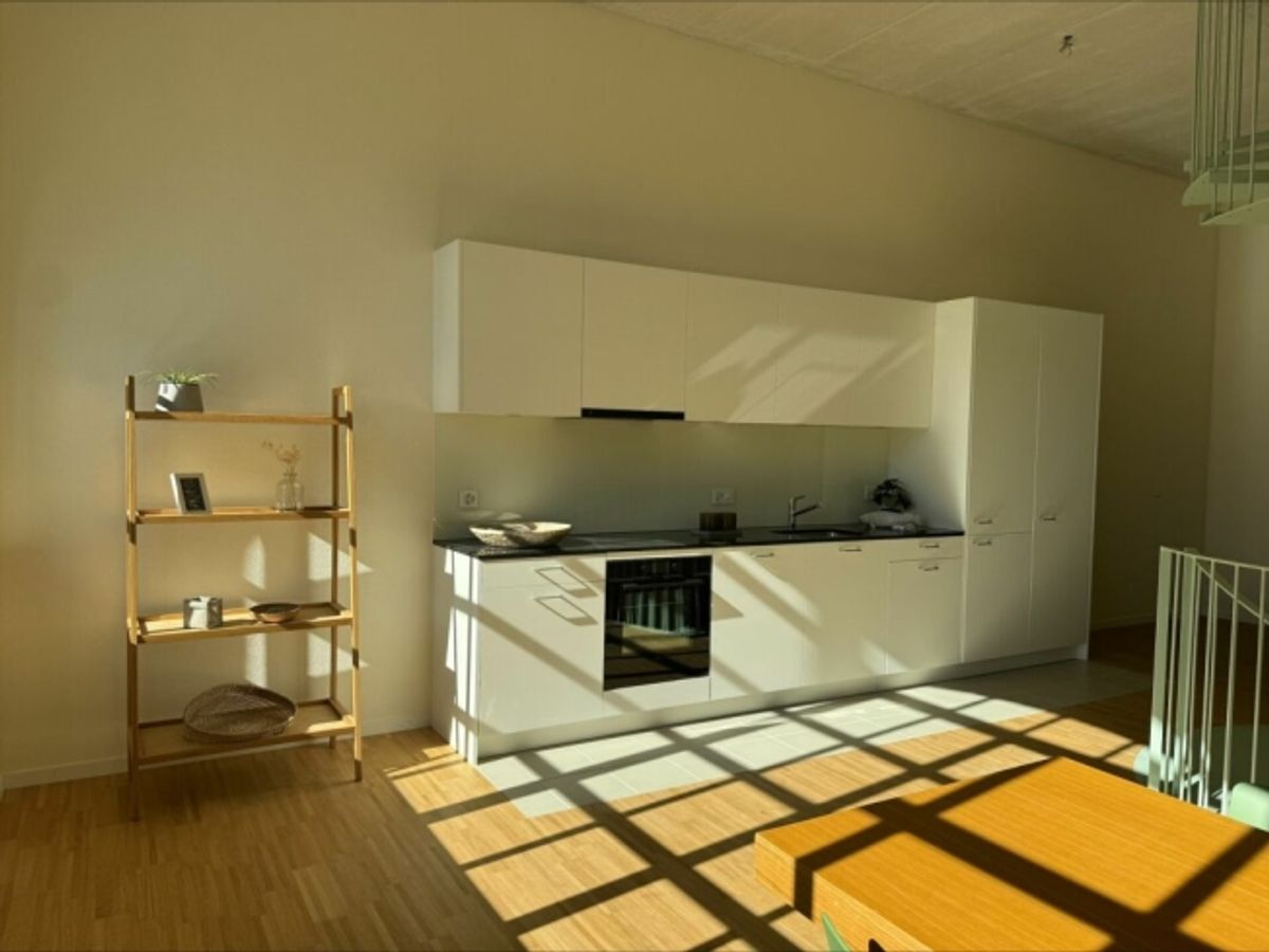 Einzigartige Loftwohnung mit Bogenfenster und Dachterrasse - 2