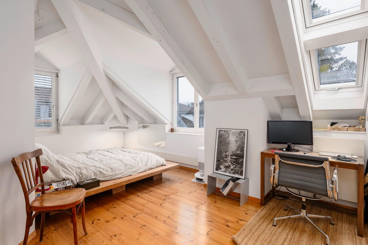 Duplex apartment with attic - 2