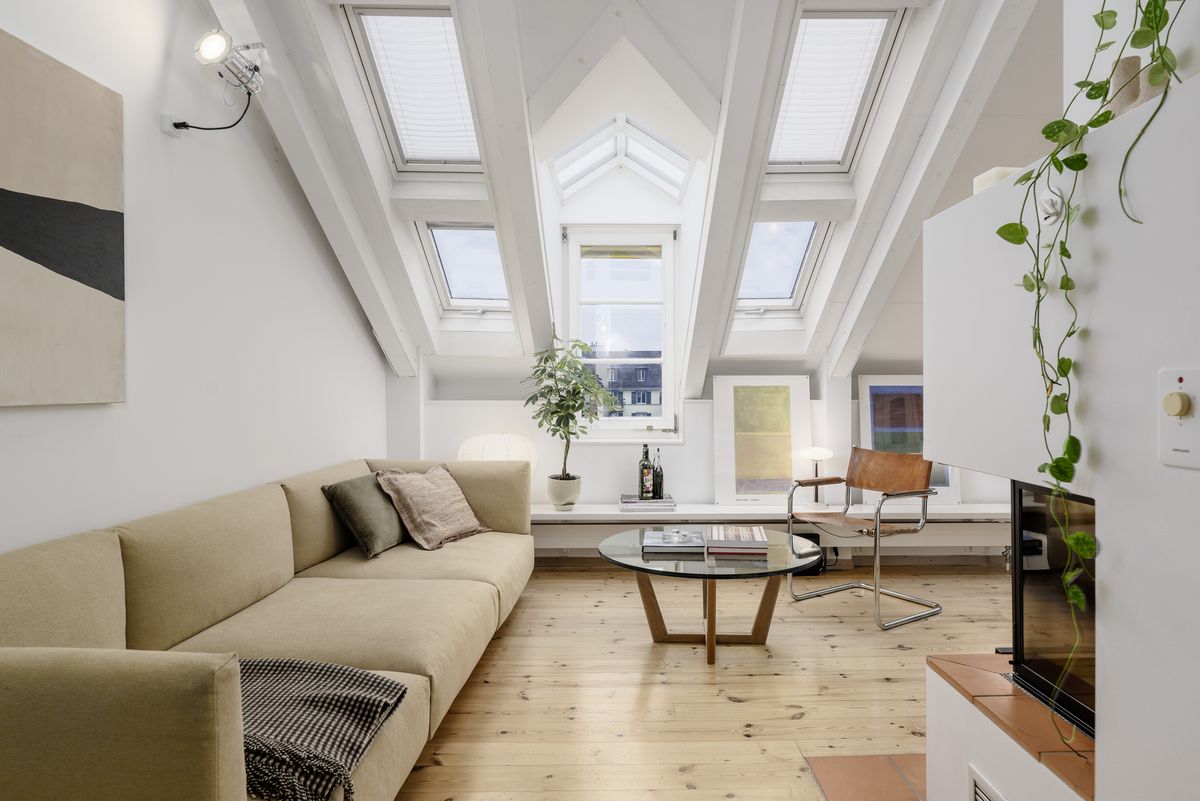 Duplex apartment with attic - 7