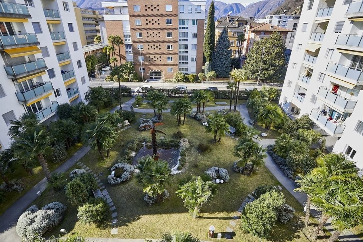 Luminoso 3.5 locali immerso nel verde nel cuore di Locarno - 7