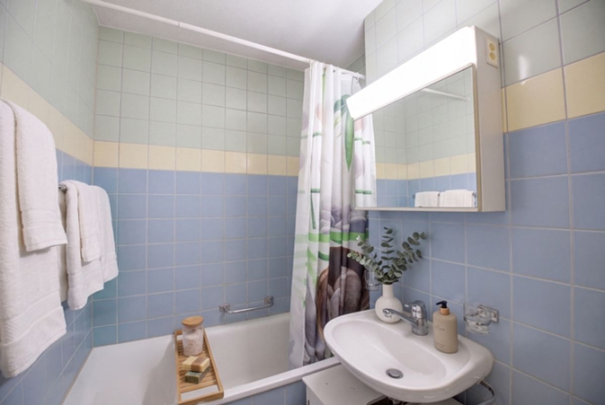 KOMPAKT WOHNEN  IN SCHÖNER UMGEBUNG - 1.5 ZIMMER  WOHNUNG IN ZWILLIKON - 4