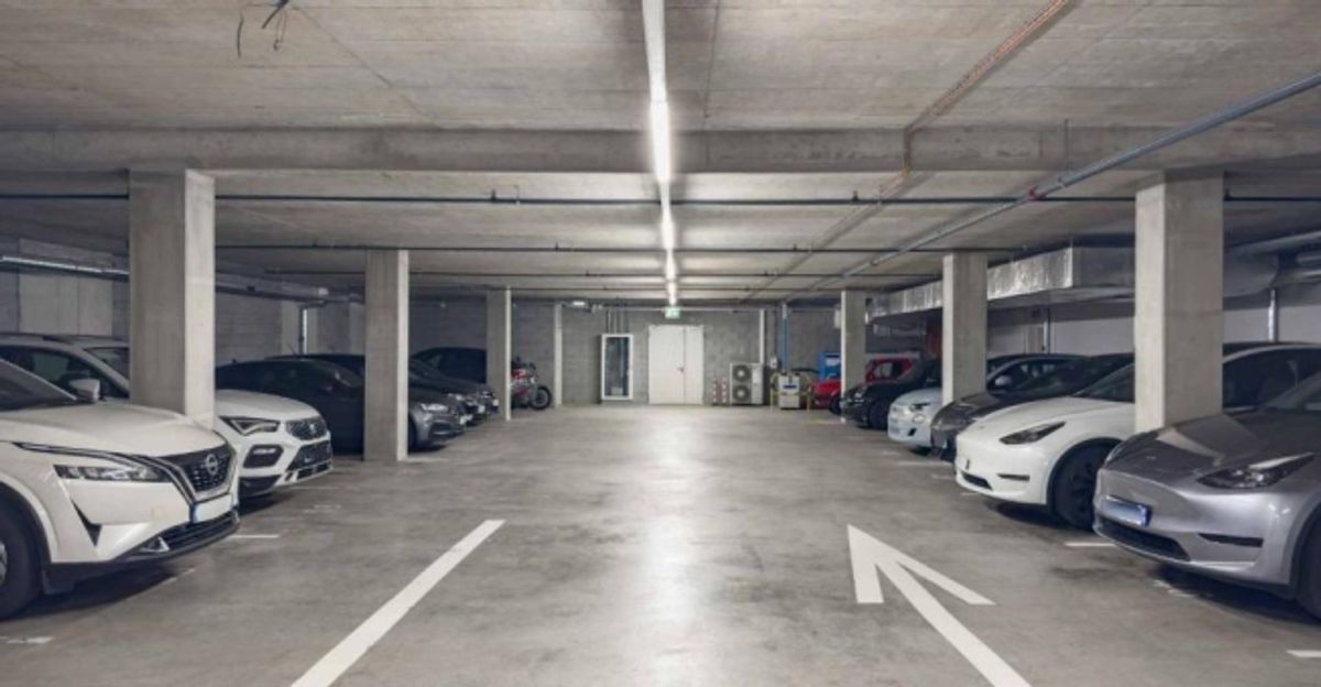 Bureaux aménagés de 350 m² – Meyrin - 11