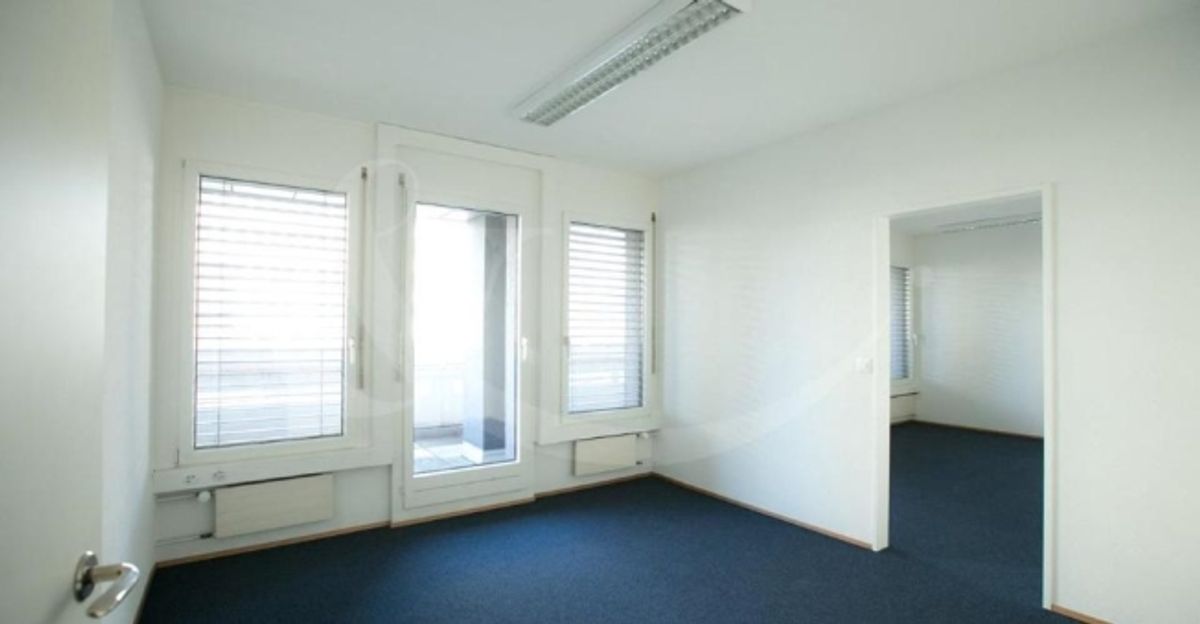 Rue de Vermont 62, espace professionnel lumineux de 478 m2 - 3