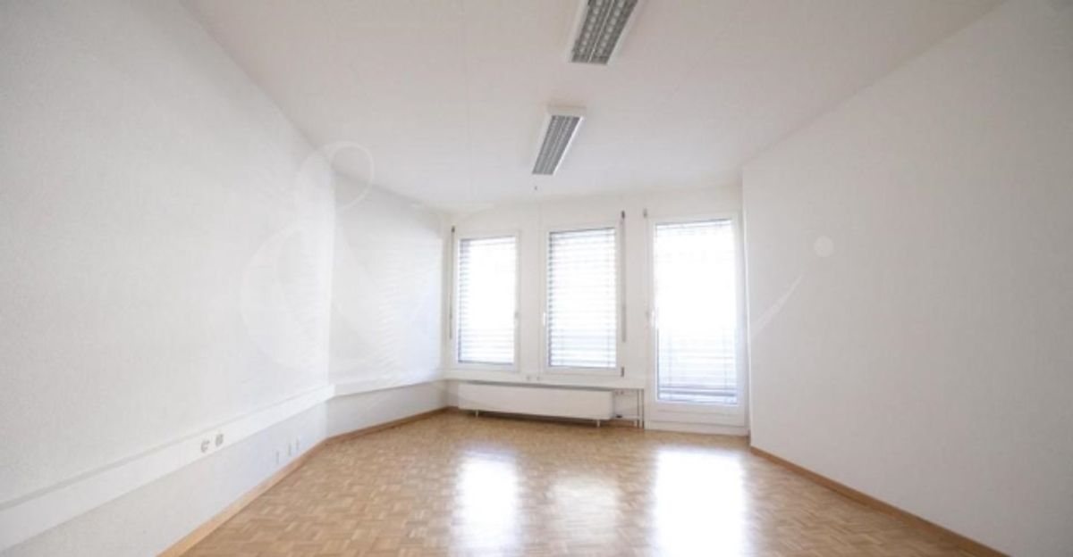 Rue de Vermont 62, espace professionnel lumineux de 478 m2 - 4