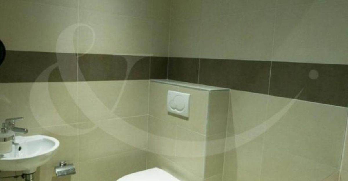 Rue de Vermont 62, espace professionnel lumineux de 478 m2 - 6