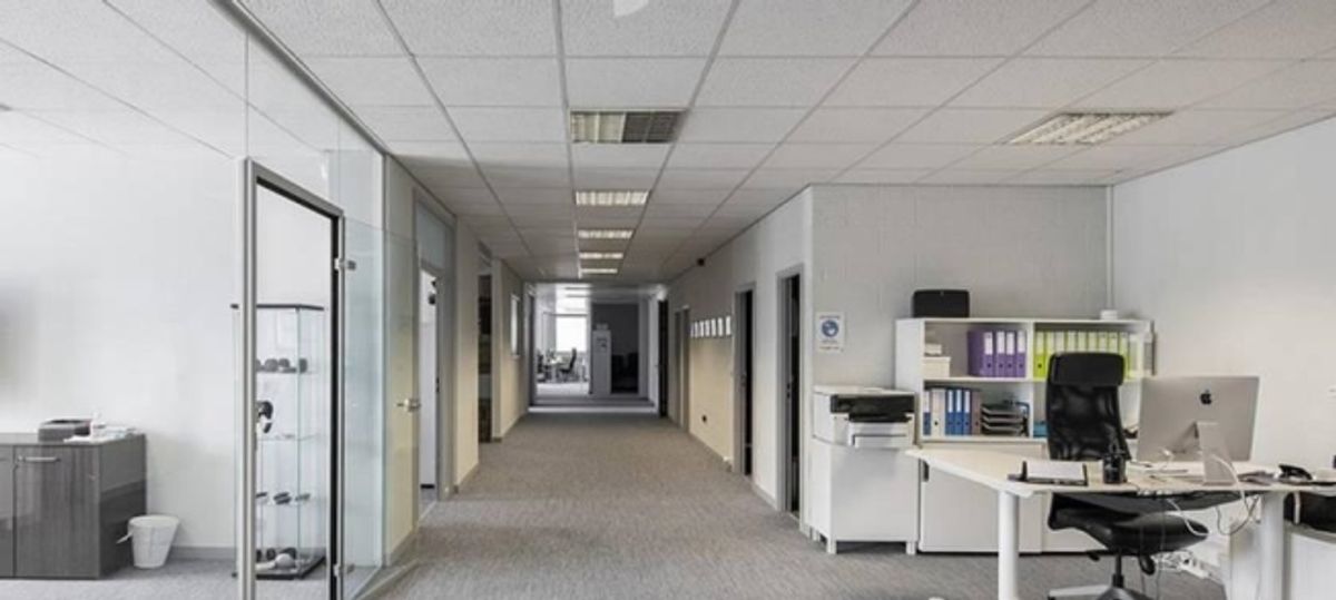 Surface de 552 m2 à louer au CTN12 à Plan-les-Ouates-FTI - 3