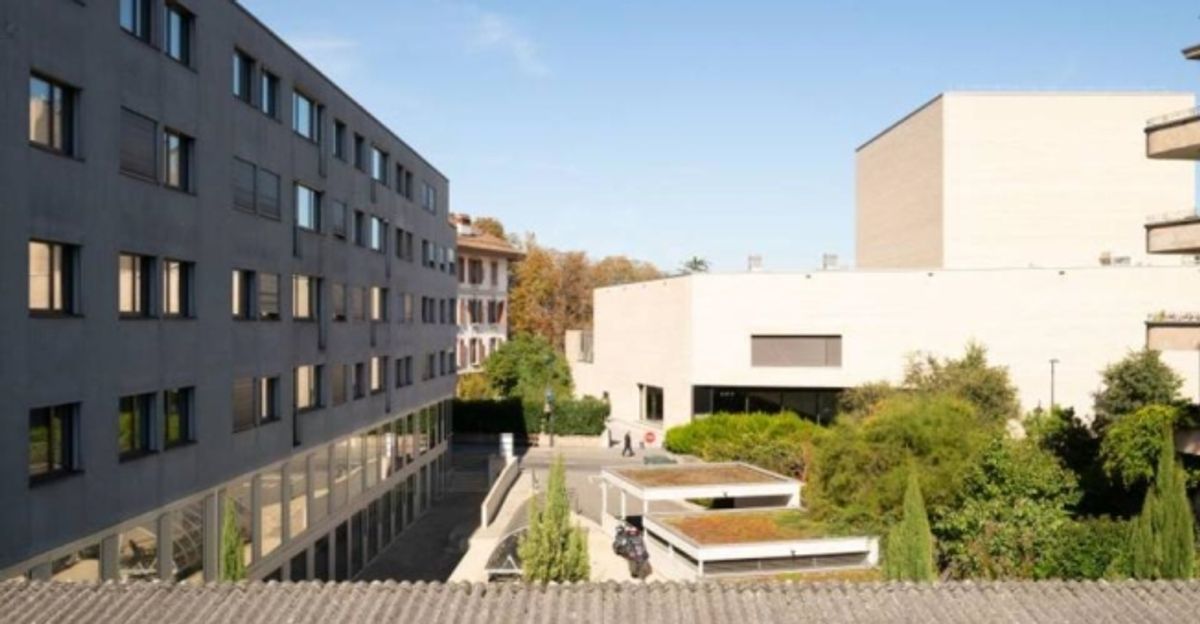Bureaux spacieux - Carouge GE - 0