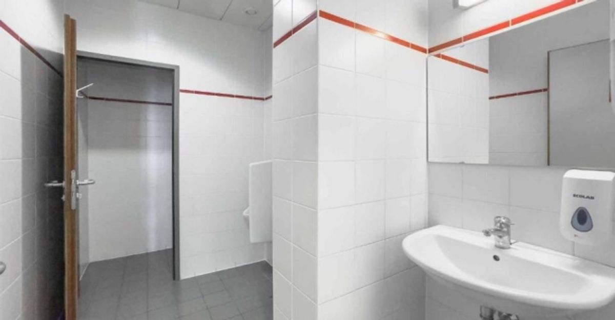 Bureau lumineux de 174m² à Carouge - 7