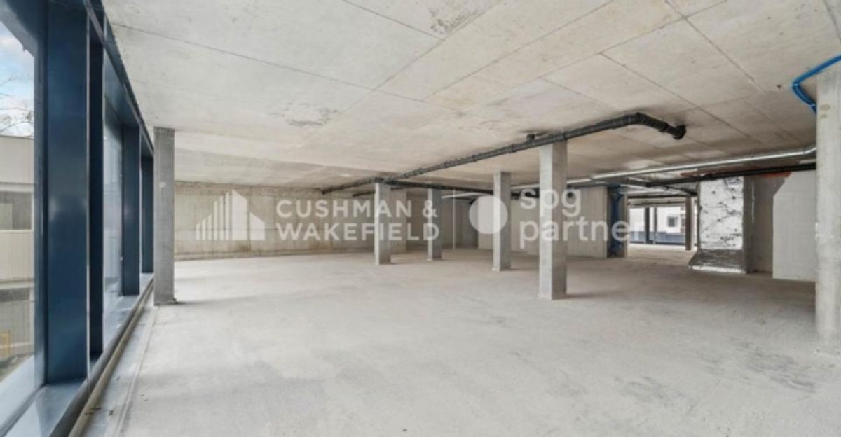 Trembley 12, surface administrative aménagée de 215 m² dans un cadre verdoyant - 7