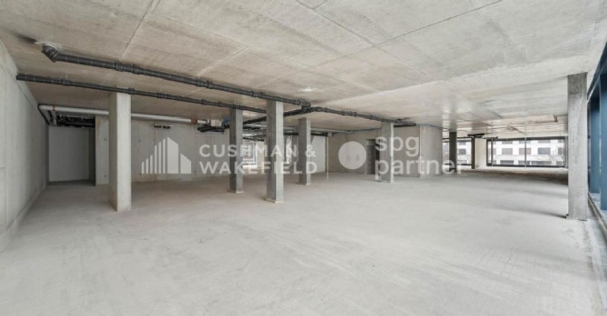 Trembley 12, surface administrative aménagée de 215 m² dans un cadre verdoyant - 9