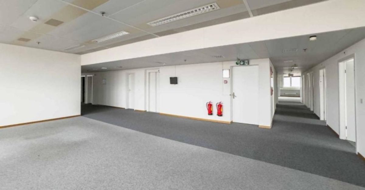 Bureaux lumineux et semi-aménagés à Meyrin - 2
