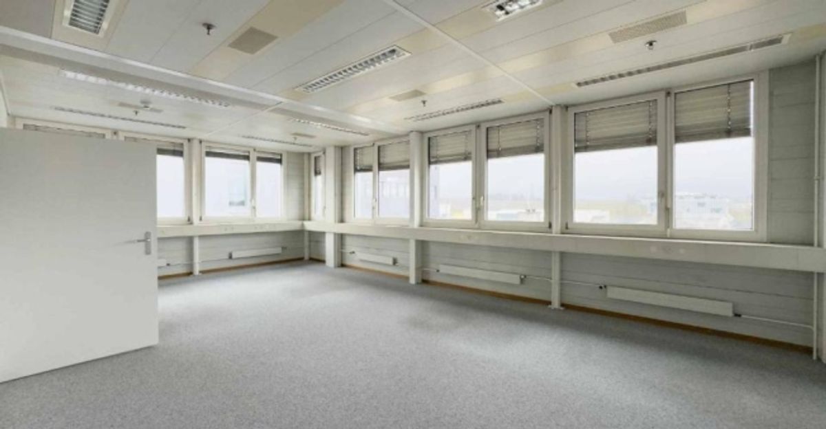 Bureaux lumineux et semi-aménagés à Meyrin - 3
