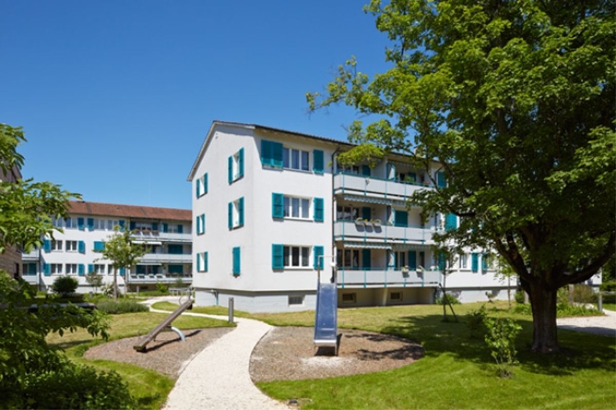 Schöne 3 Zimmerwohnung in gepflegter Liegenschaft - 0
