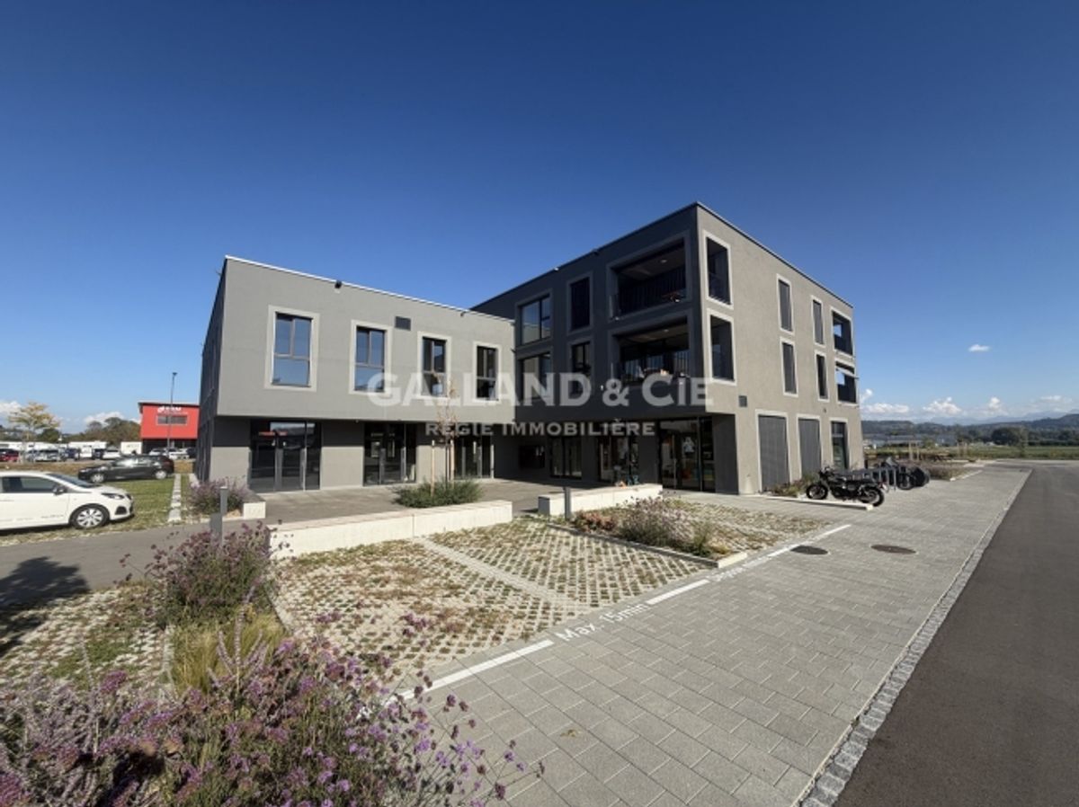 Surface commerciale divisibles de 620 m² avec grandes vitrines - 0