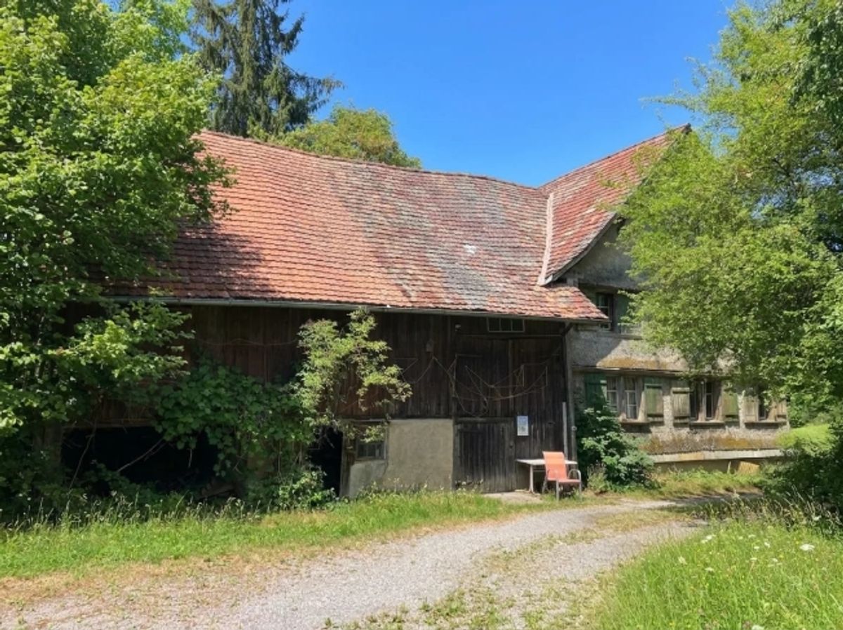Grundstück 2834 m² mit 9-Zimmer-Neubauprojekt in Wittenbach kaufen - 3