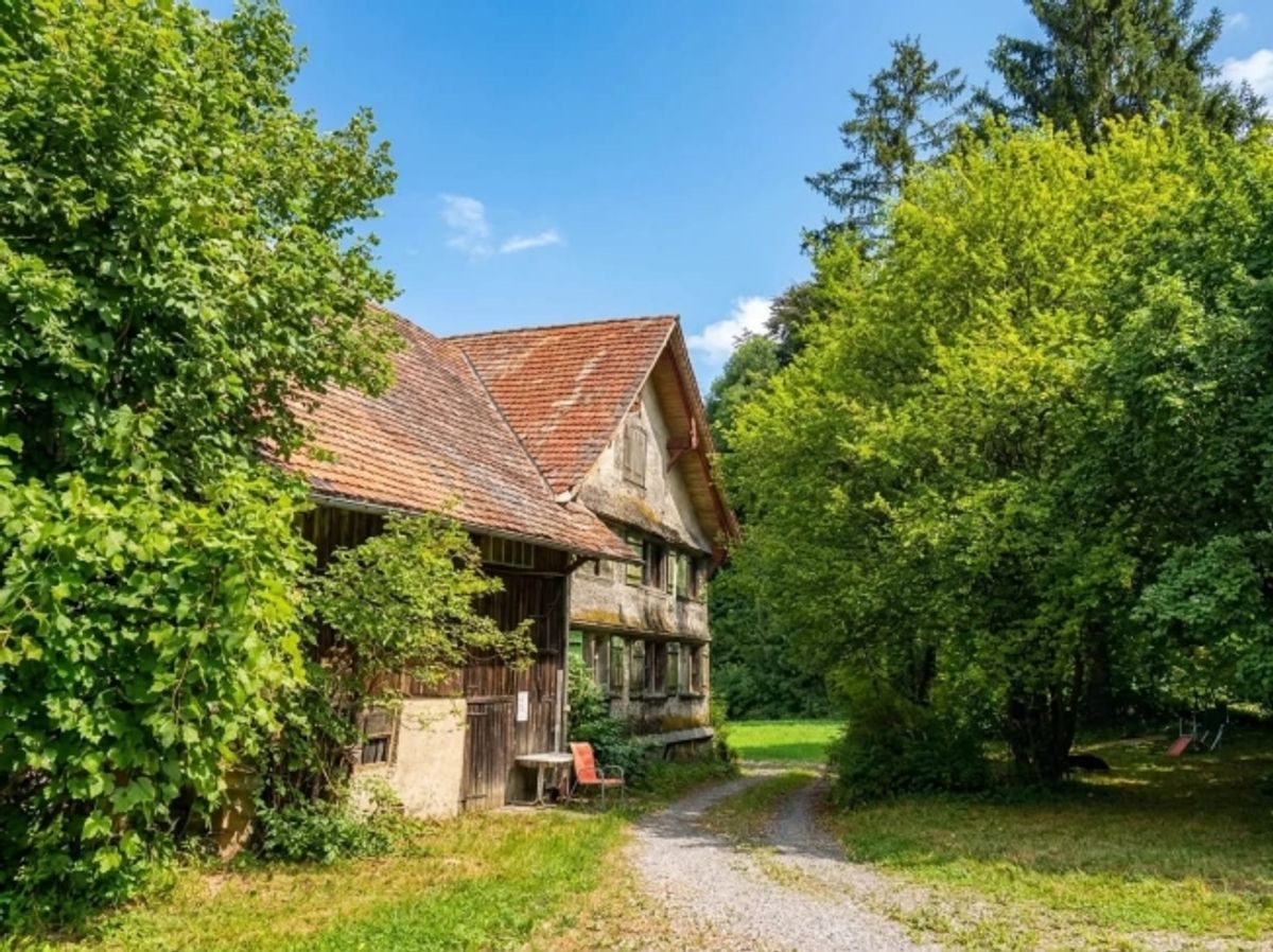 Grundstück 2834 m² mit 9-Zimmer-Neubauprojekt in Wittenbach kaufen - 12