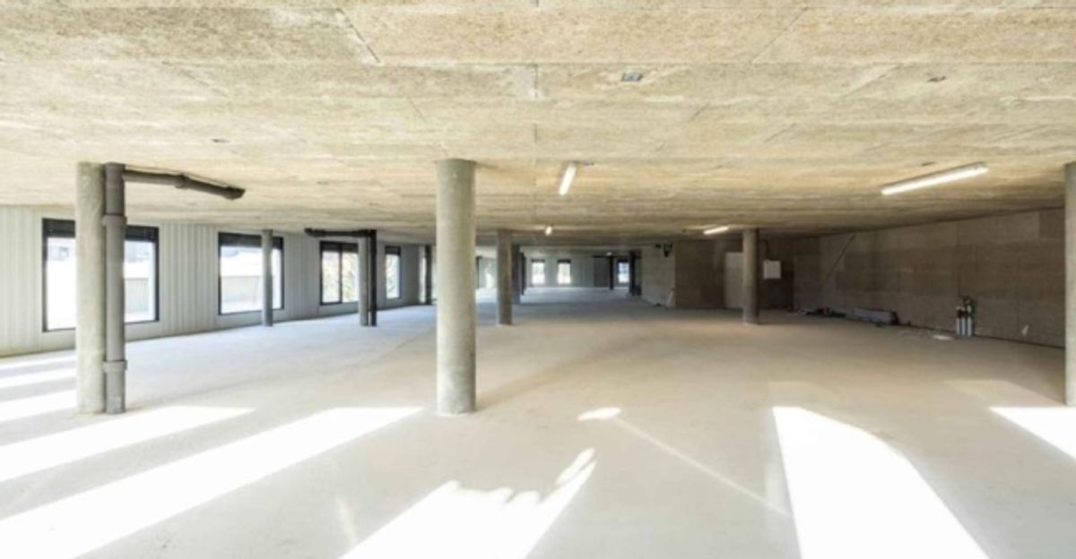 Atelier - Showroom de 350 m² à Meyrin - 1