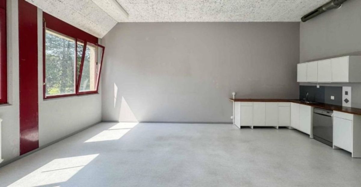 Atelier lumineux de 365 m² à Meyrin - 3