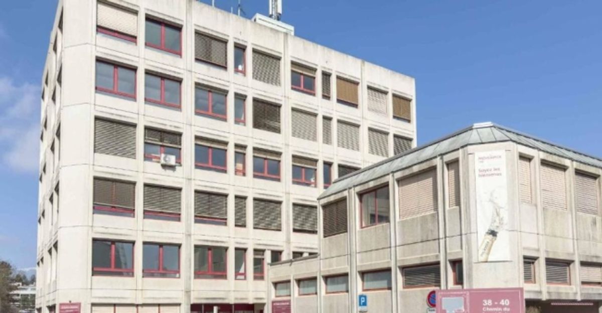 Atelier lumineux de 365 m² à Meyrin - 9