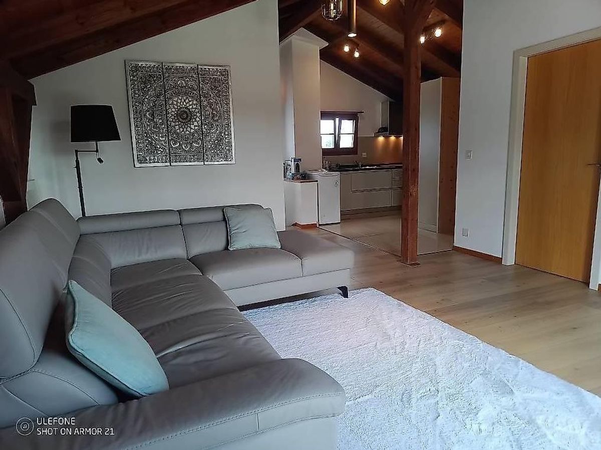 3.5 Zimmer Dachwohnung - 0