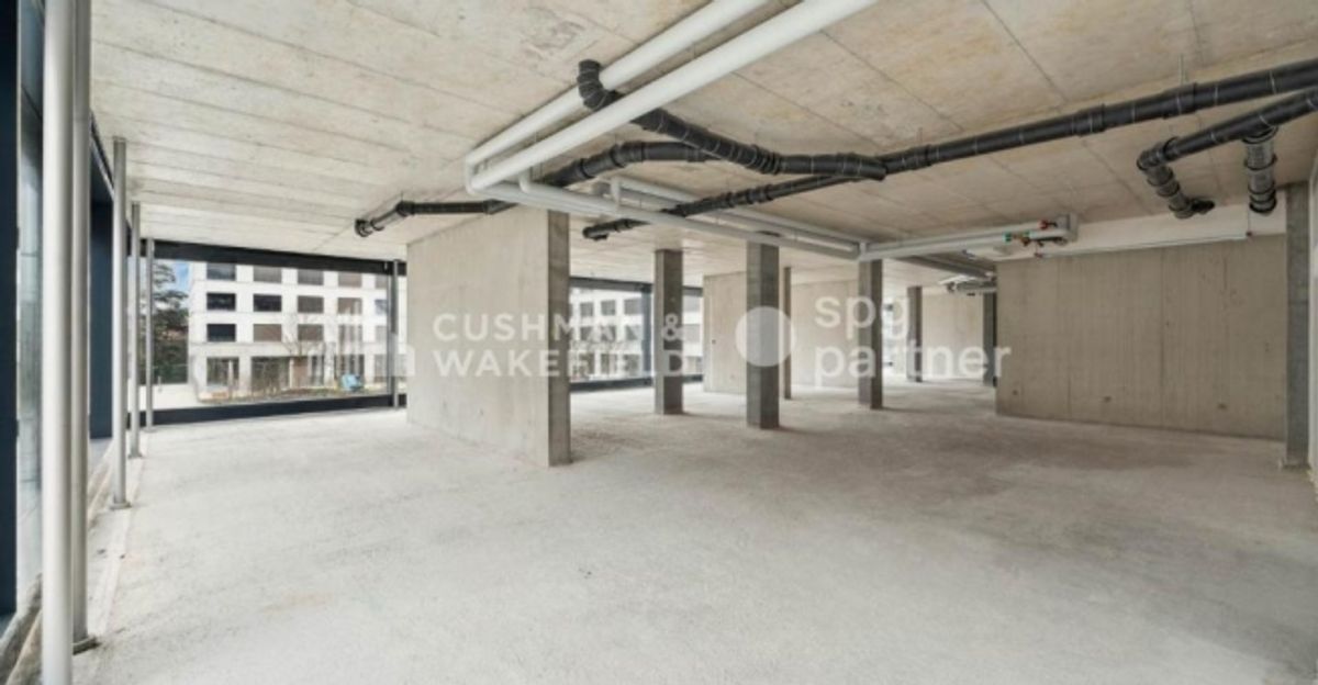 Trembley 12, plateau administratif de 700 m² aménagé au cœur d'un parc de 5 hectares - 11
