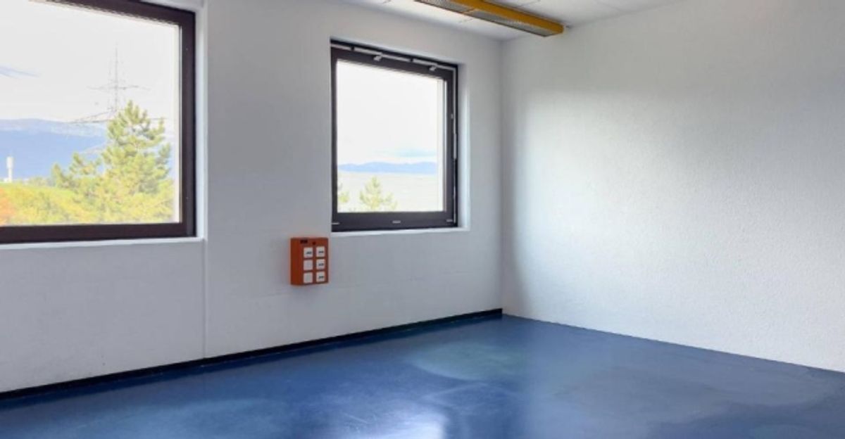 Laboratoire, production, atelier de 420 m2 à louer à Satigny - 2
