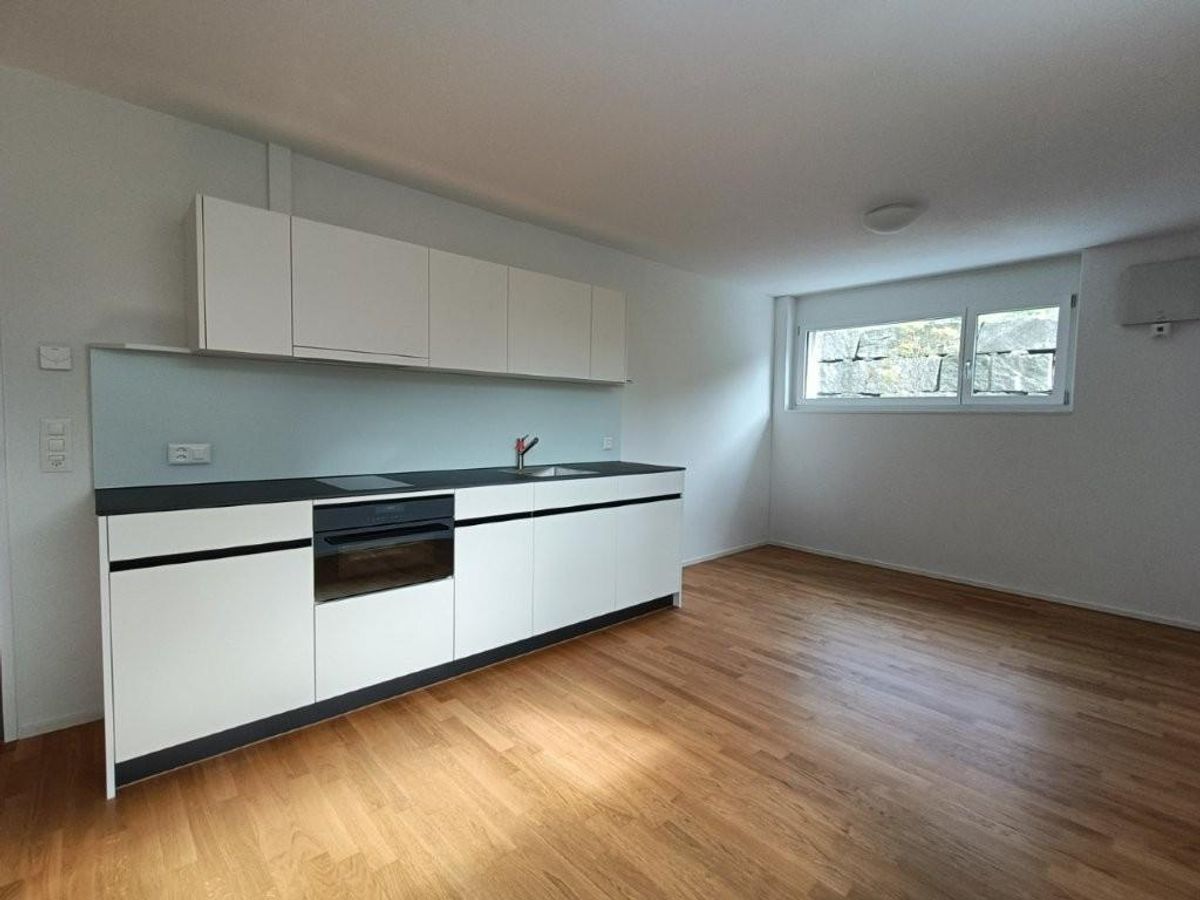 2.5 Zimmer Wohnung - 0