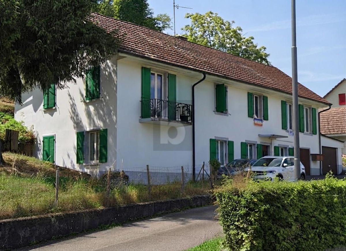 CALME ET VERDURE - 0