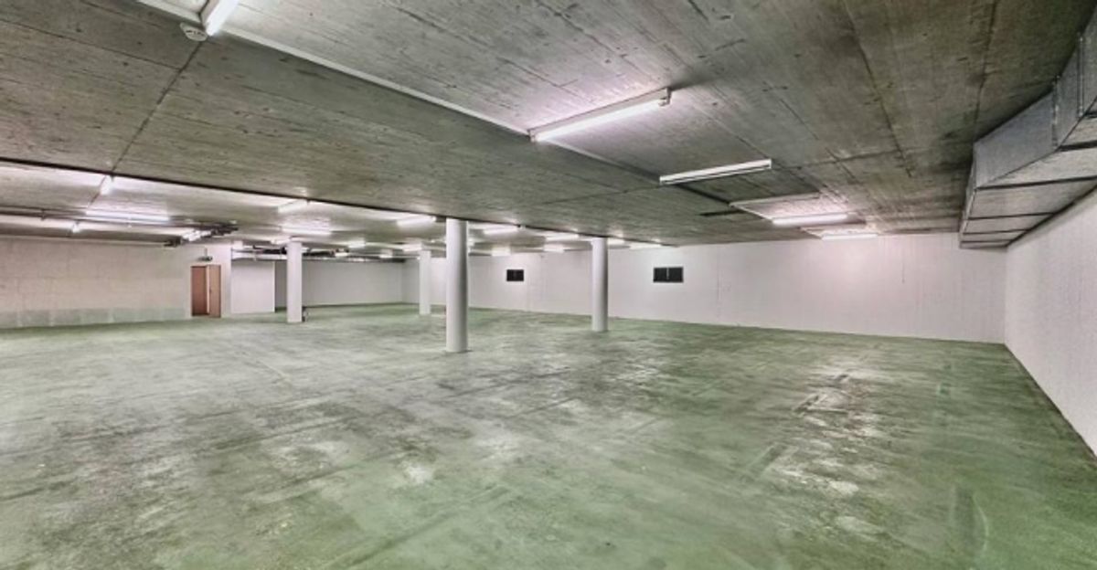 Dépôt, stockage de 1000 m2 div. dès 500 m2 à louer à l'hypercentre de Sion - 1