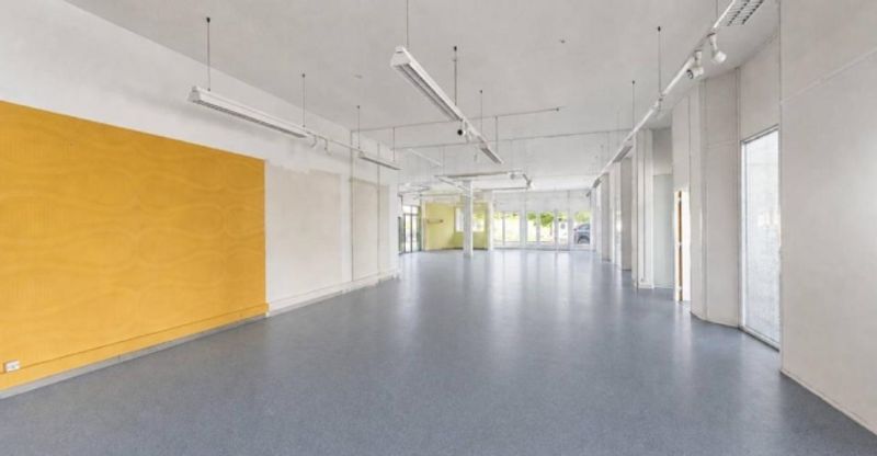 GRAND-LAUSANNE - SURFACE COMMERCIALE & INDUSTRIELLE - 2