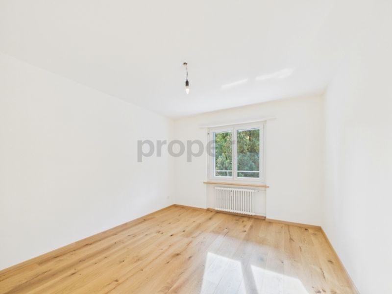 Frisch Renoviert (2026), Sonniger Balkon & Attraktives Preis-Leistungs-Verhältnis - 6