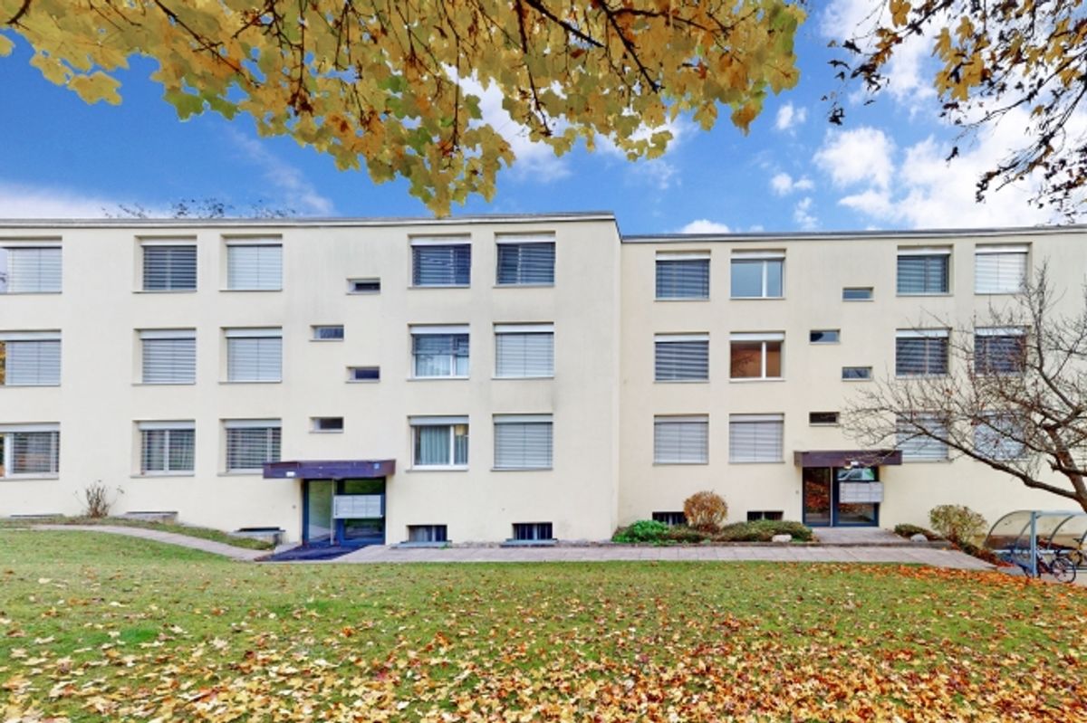 Grosszügige Familienwohnung mit Sicht ins Grüne - 0