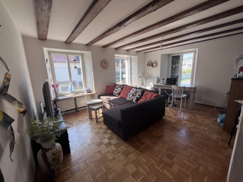 2½ ZI-WOHNUNG IN HOMBRECHTIKON (ZH), MÖBLIERT, TEMPORÄR - 1