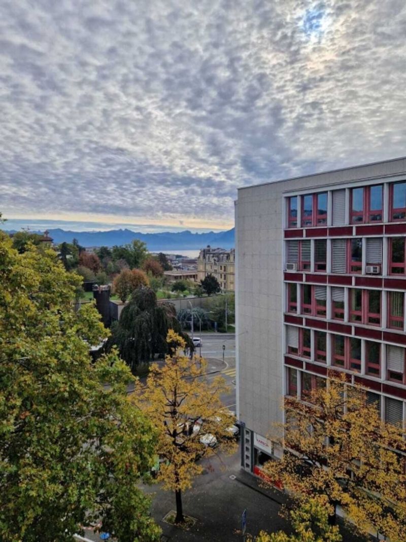 Arztpraxis im 4. Stock des Chemin des Croix-Rouges 2 in Lausanne - 6