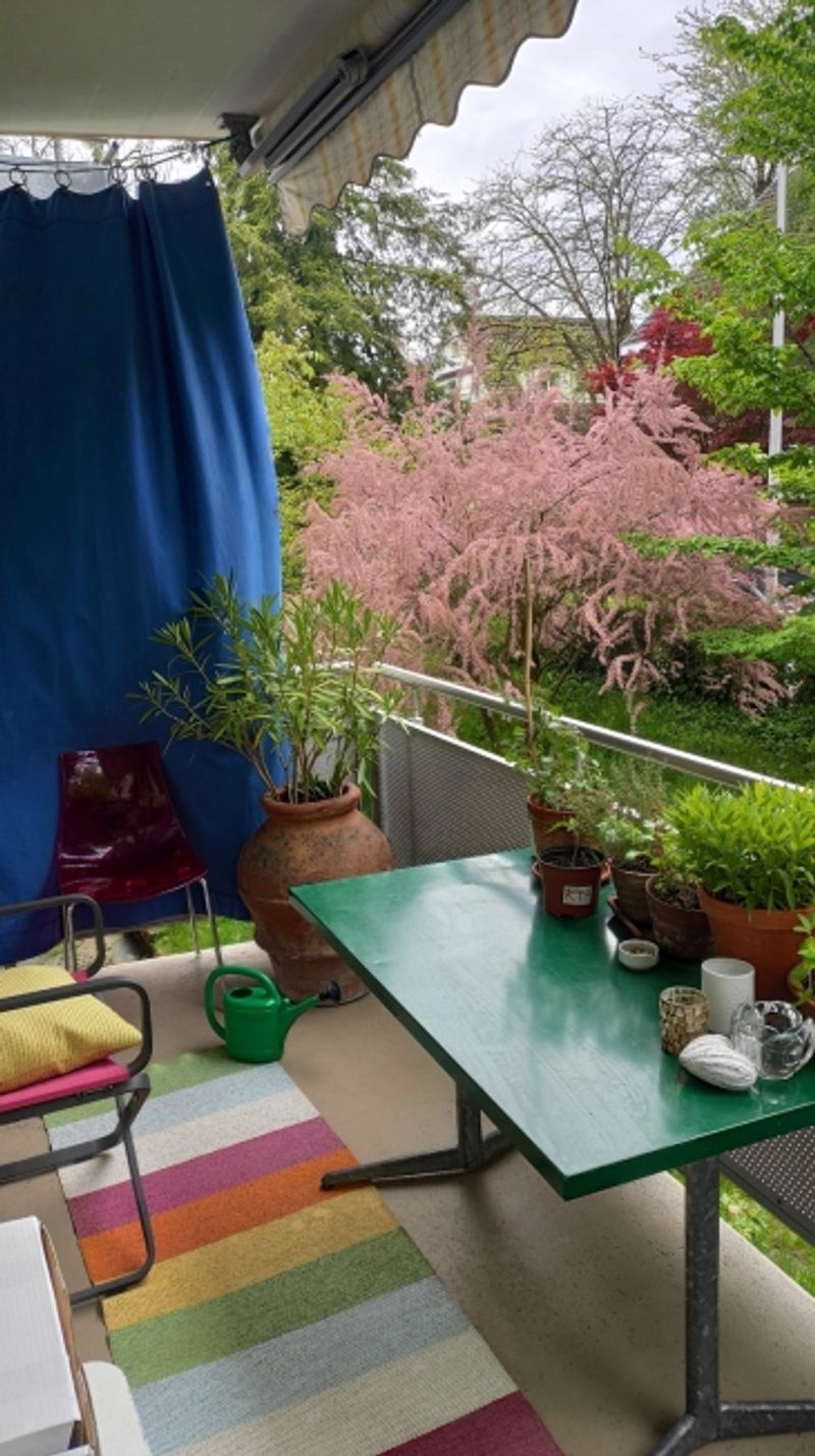 4 ZI-WOHNUNG IN BERN - ELFENAU/BRUNNADERN, MÖBLIERT, TEMPORÄR - 8