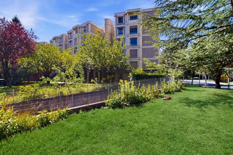 Dans les hauts de Lausanne - 2